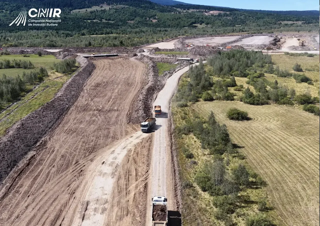 Sintești: incendiu de vegetație pe ~2.000 mp, fără victime